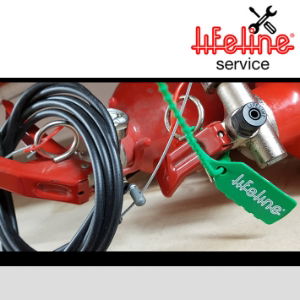 Lifeline Servicing