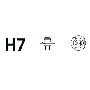 H7