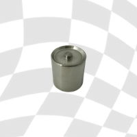 PISTON-1.06x28,7SST-SIB